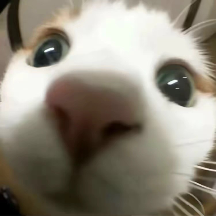 qq_Z霸天48