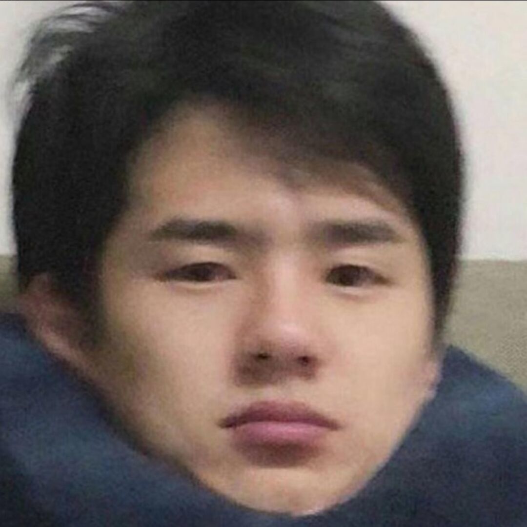 很明显我是一只鸭