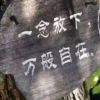民乐-【TITAIKE】T太科网