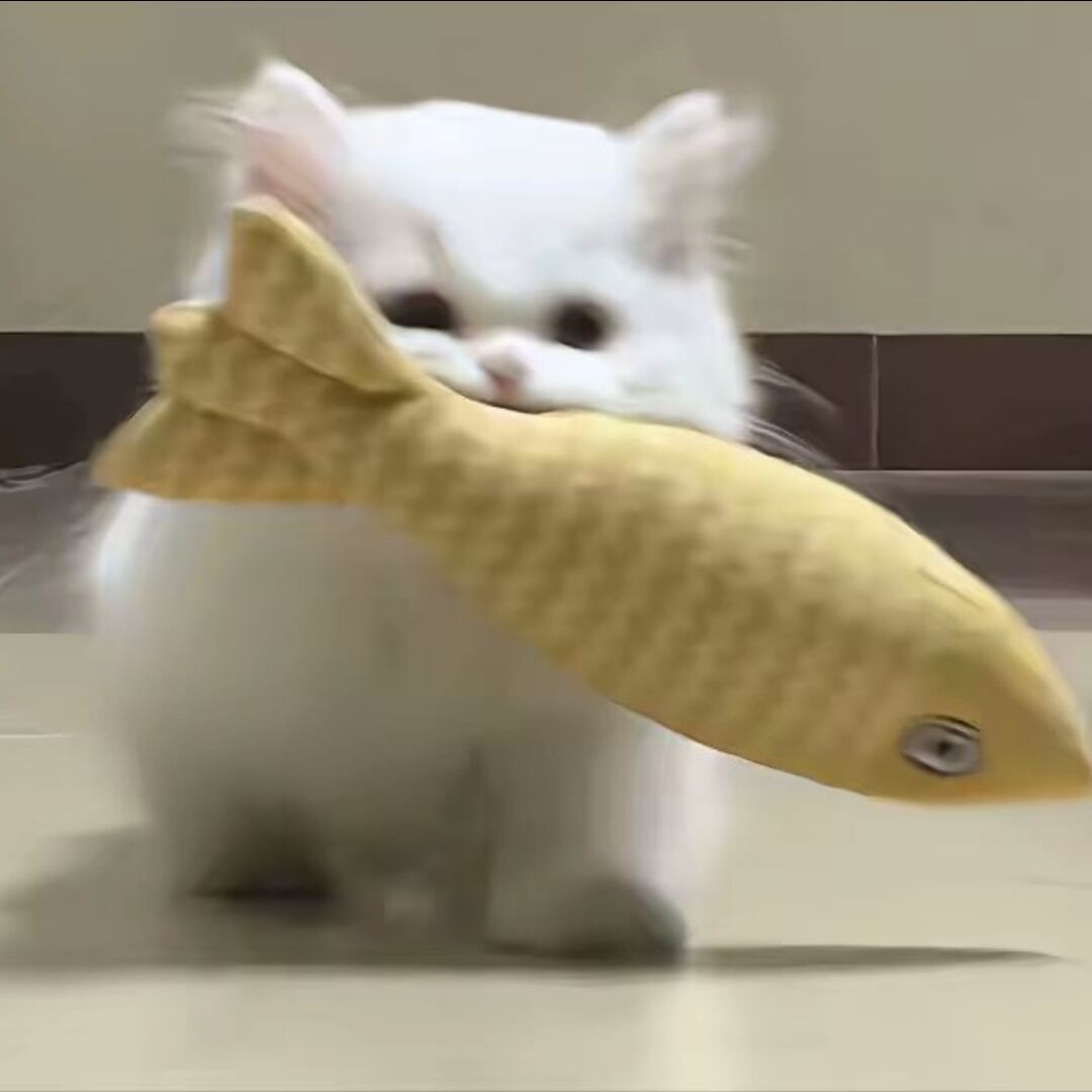 qq_030
