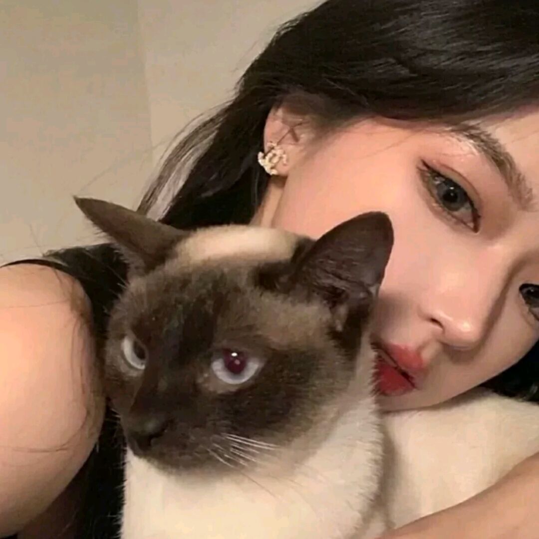 qq_柒月71