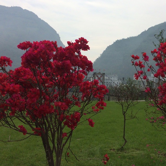 qq_昆11