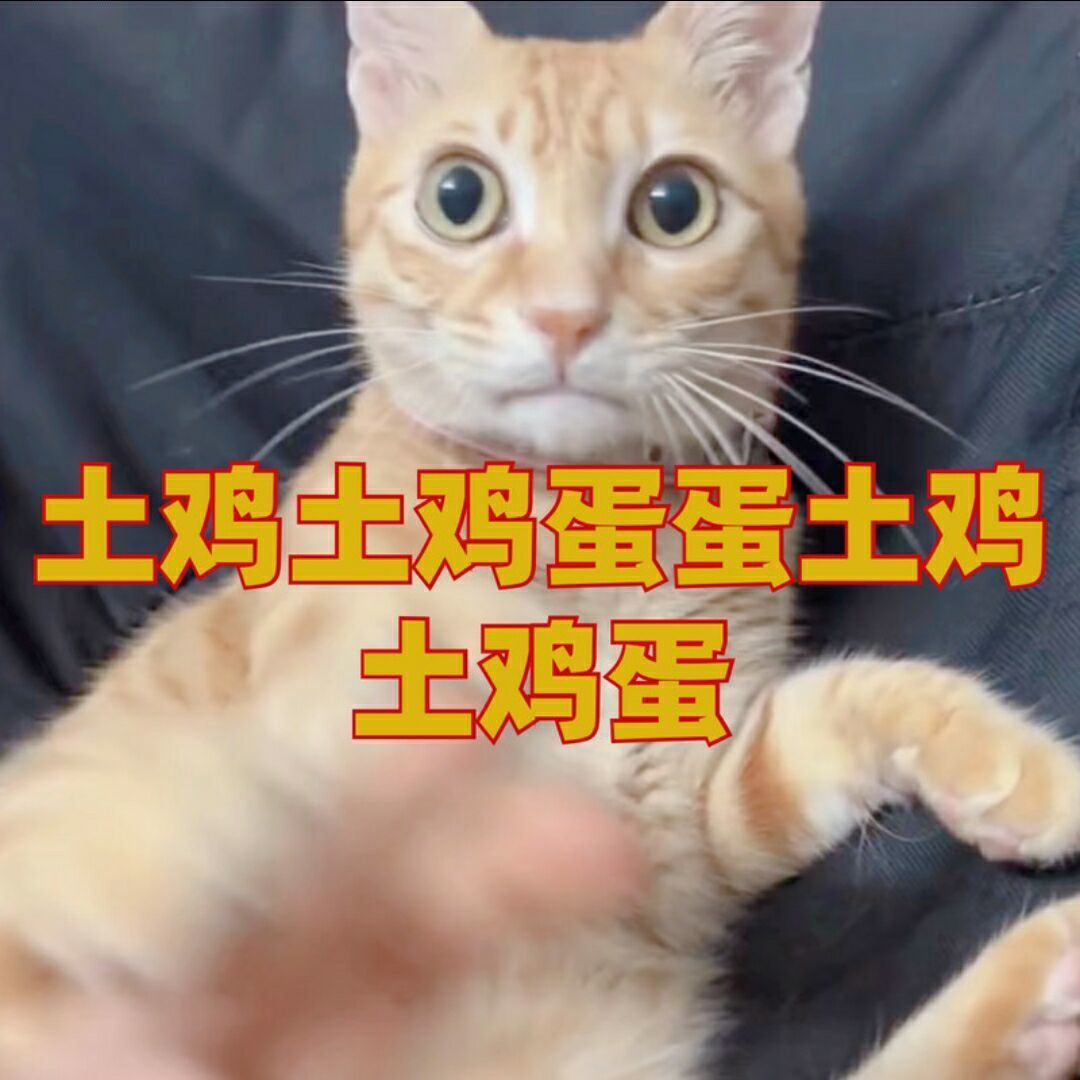 qq_冥河52