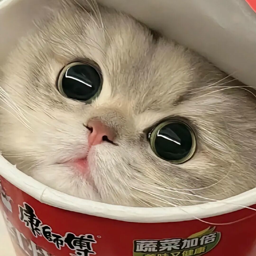 qq_梦怡涵71