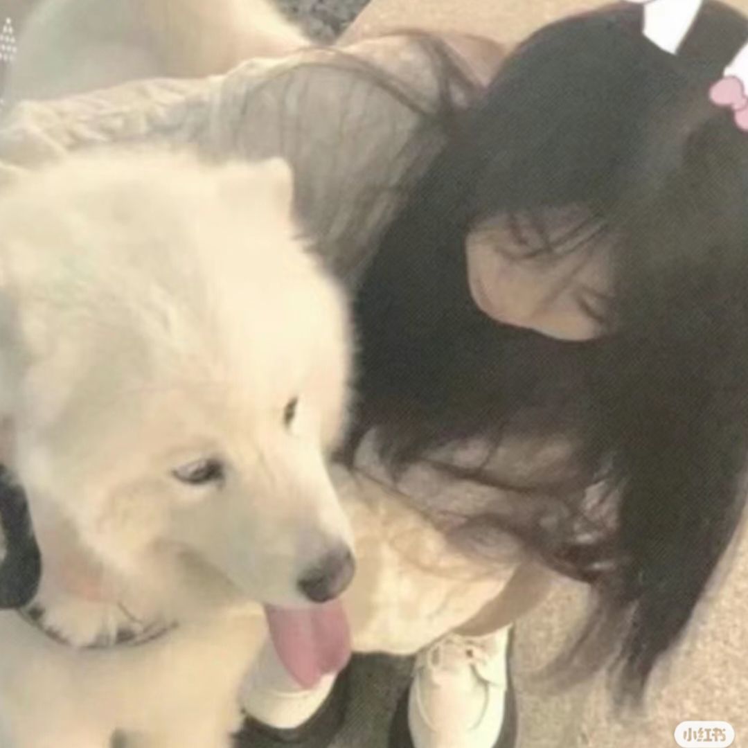 用户头像