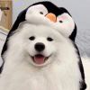 syyy-【TITAIKE】T太科网