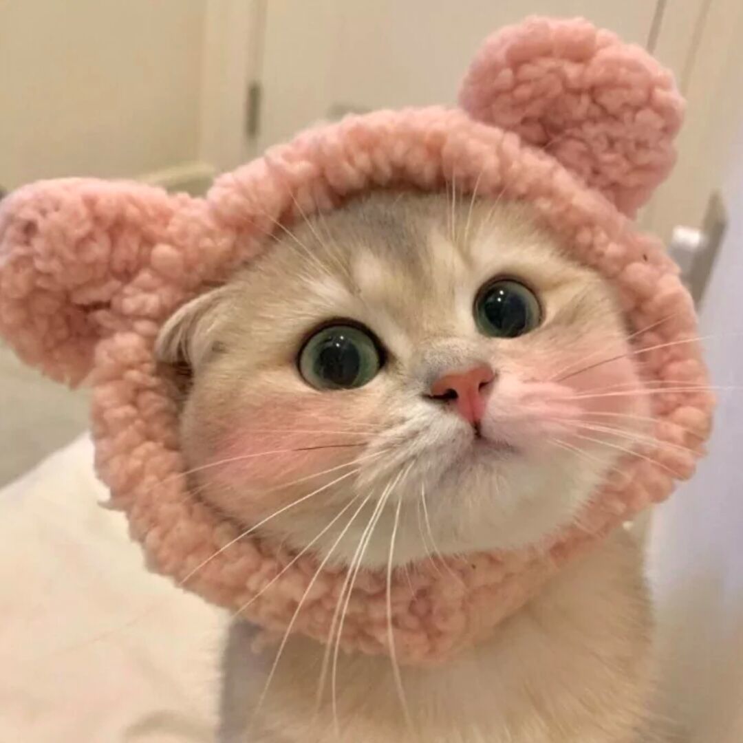qq_爱33