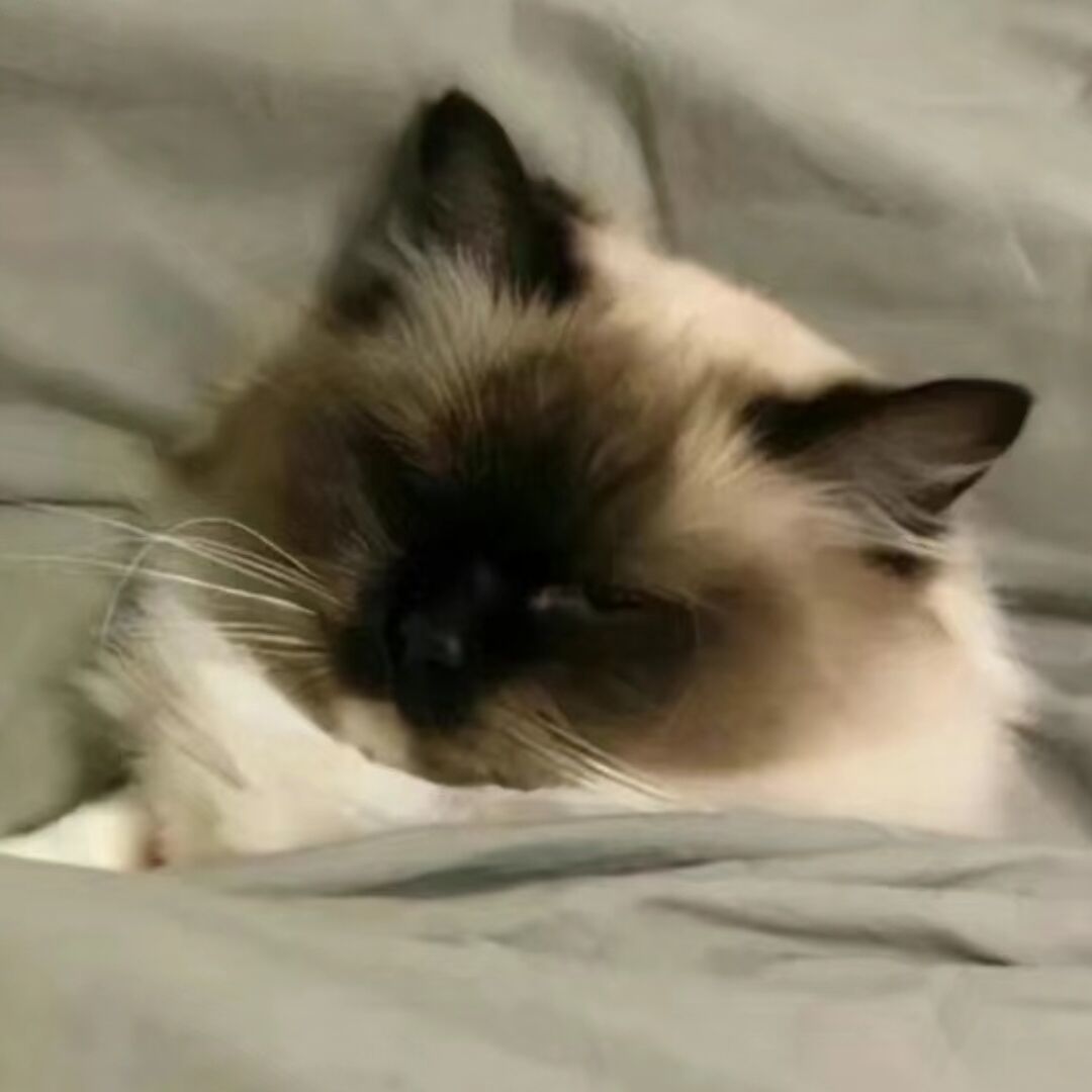 qq_谁不重要89