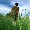 小嘢 - 玩机公社-玩机公社