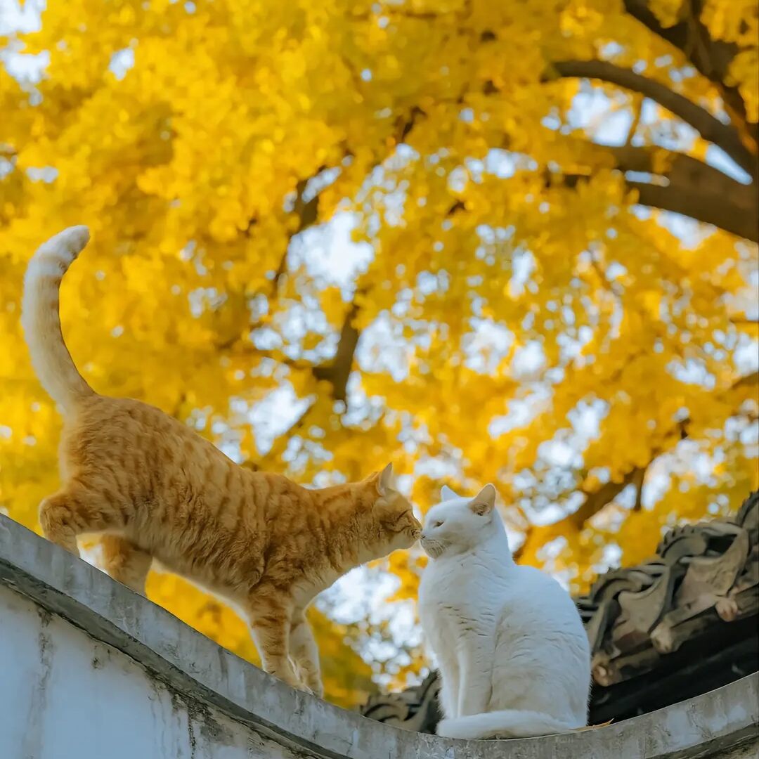 qq_李蔚节(15283098303)67