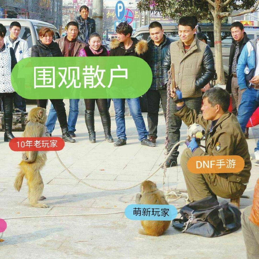 qq_没有皇帝命，得了皇帝病15