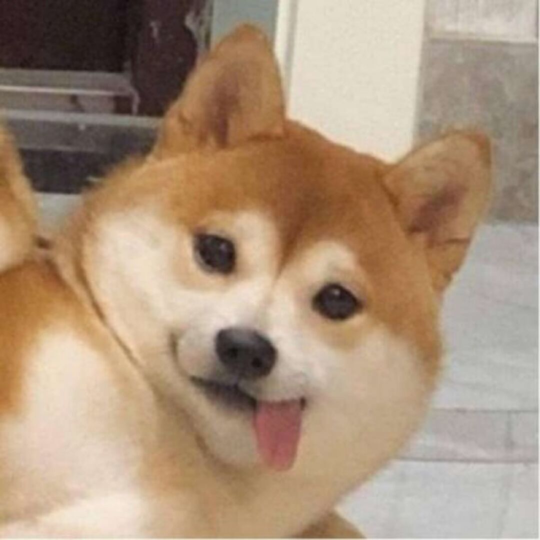 qq_上瘾中毒已弃疗i98