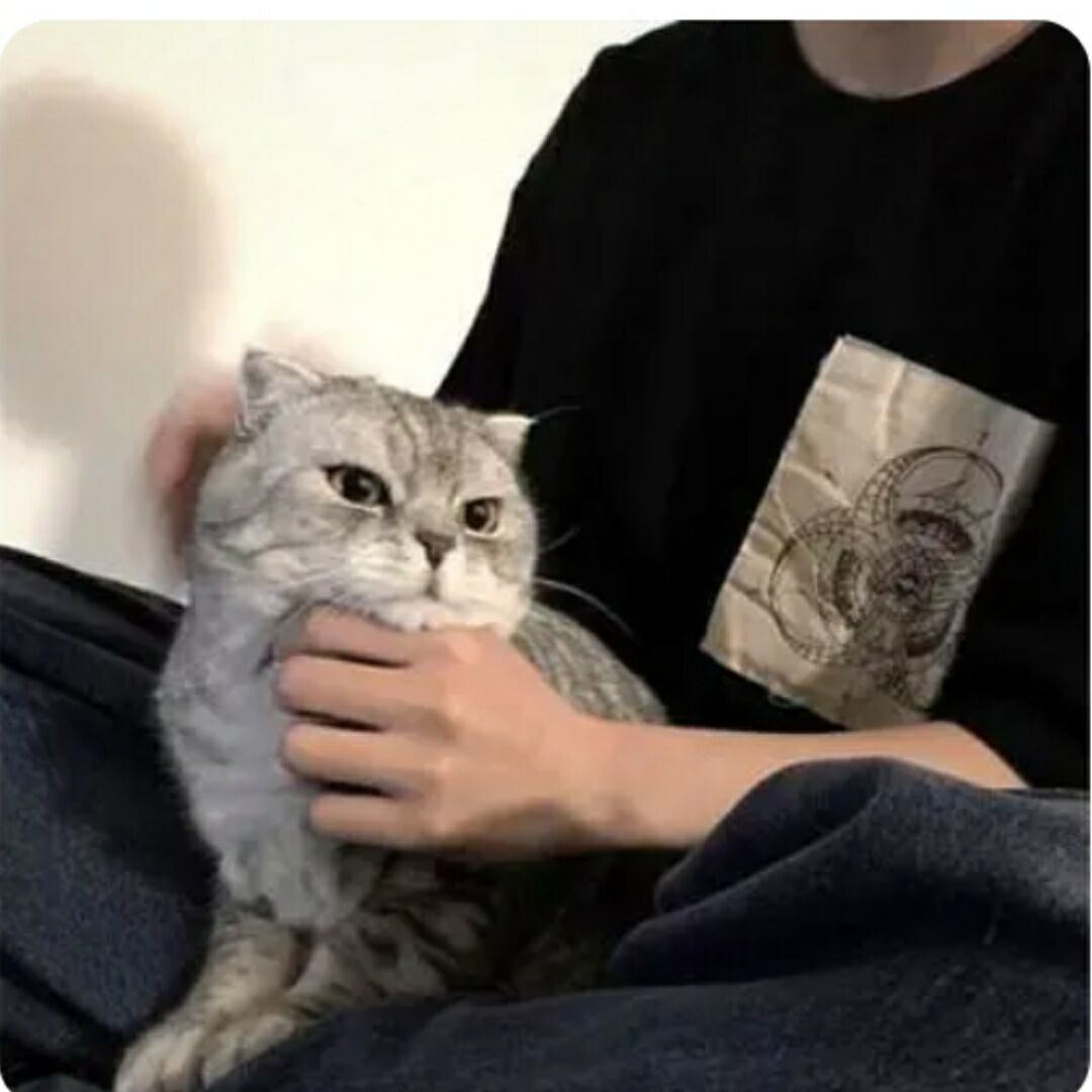 qq_TheonIyone19