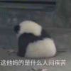 我不知道-风行者社区