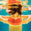 天王盖虎虎-iPA资源站