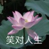 鱼贝贝-【TITAIKE】T太科网