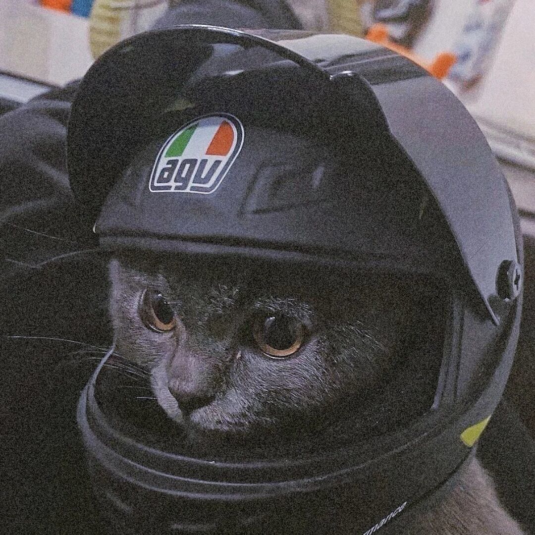 qq_.85
