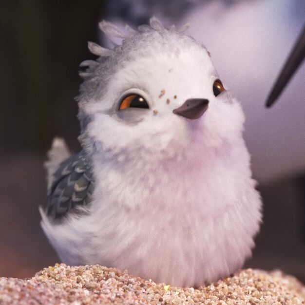 你们的网名都好丑哦