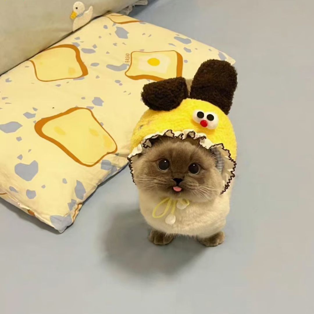 qq_浔玖94