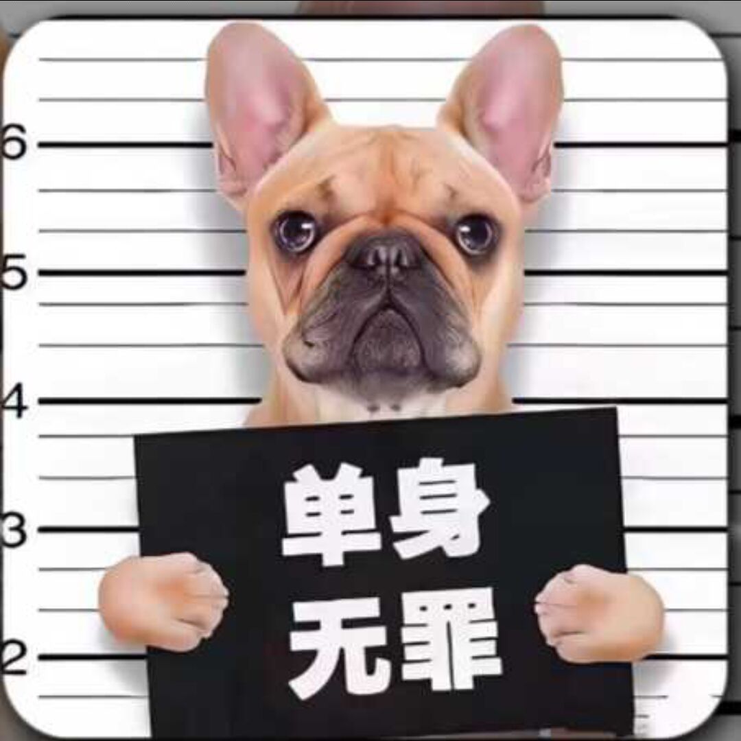 qq_王超54