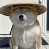 梦无痕-【TITAIKE】T太科网
