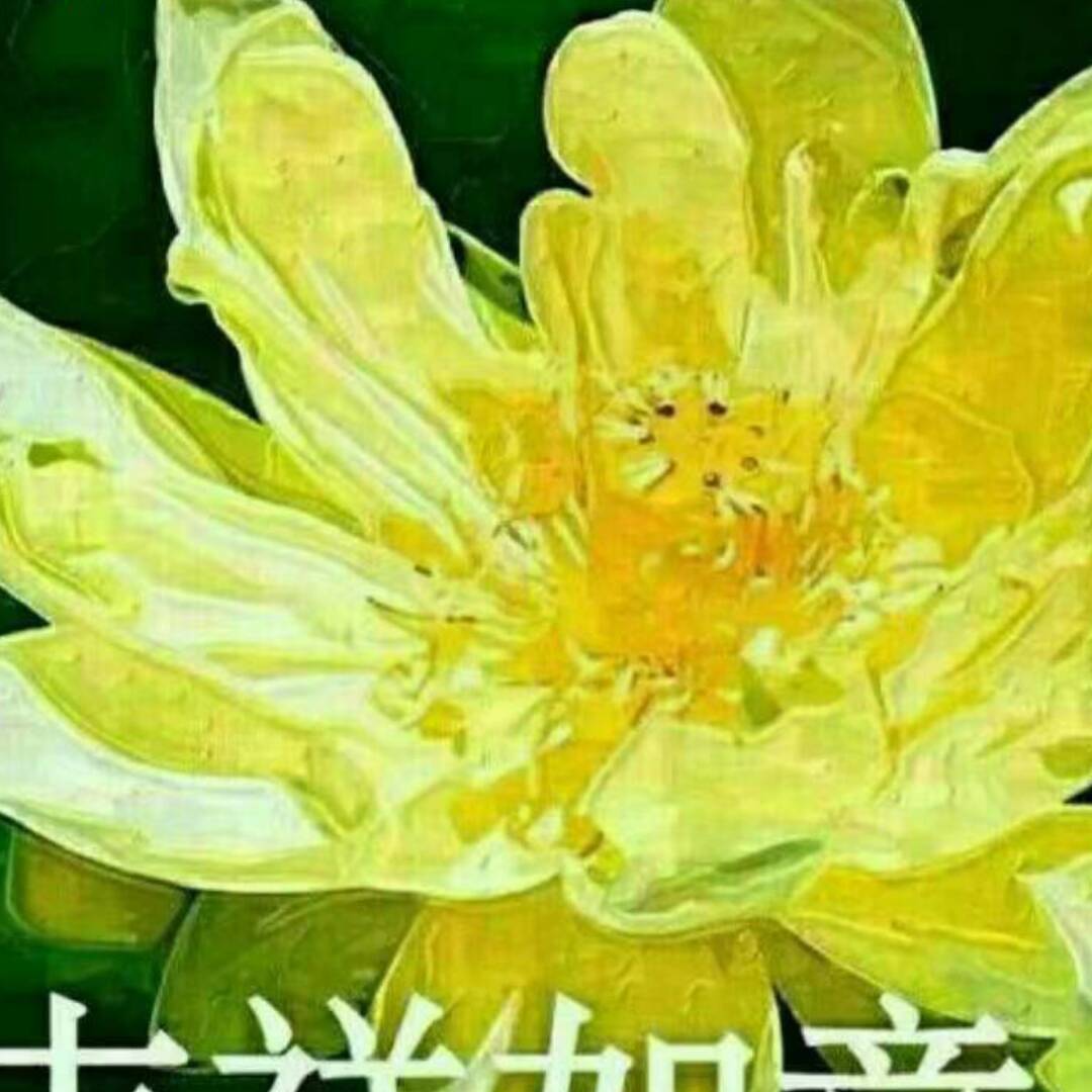 qq_宾至如归15