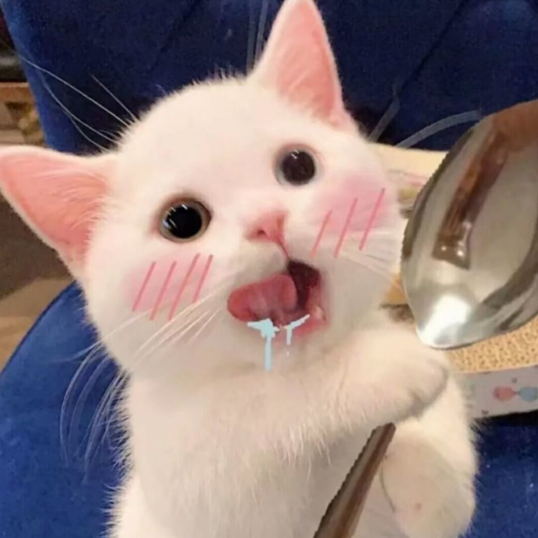 qq_蛋仔37