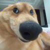 逢10086-【TITAIKE】T太科网