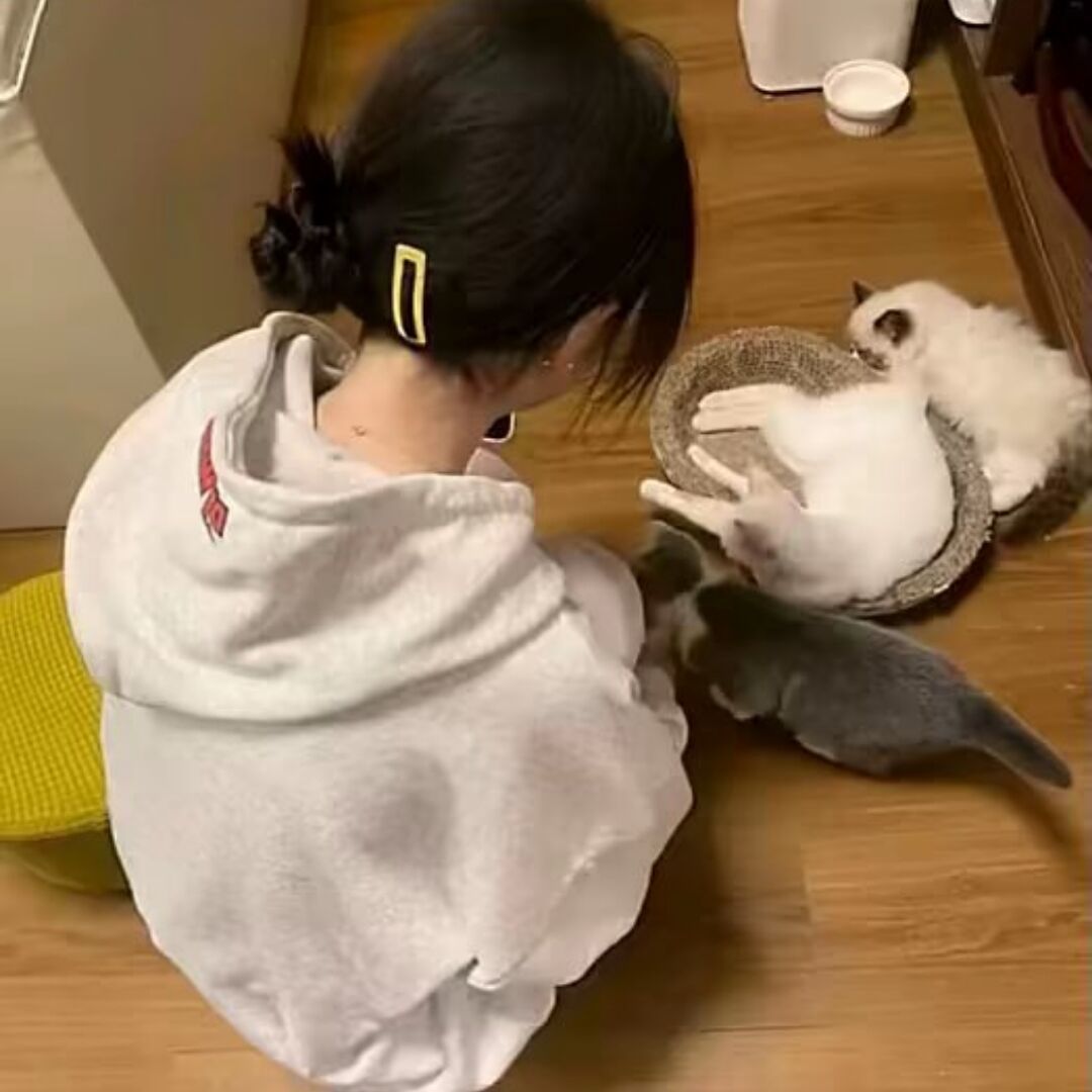 qq_想吃炸鸡柳72