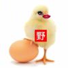 莫菇-【TITAIKE】T太科网