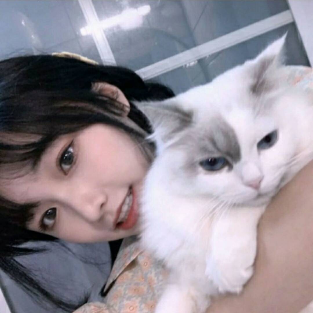qq_W.Estrus66