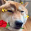 114514qwq-【TITAIKE】T太科网