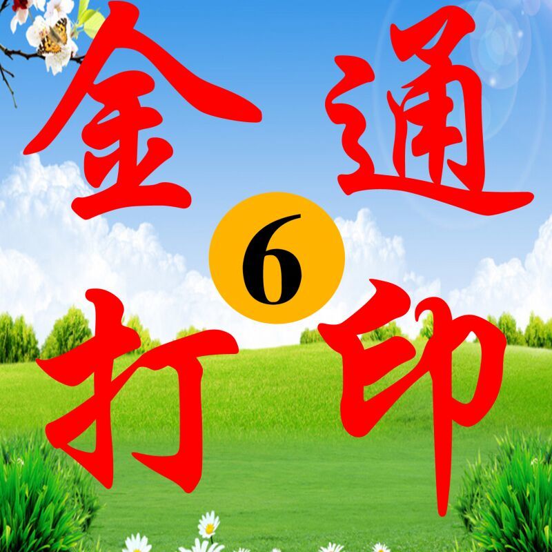 金通打印6号
