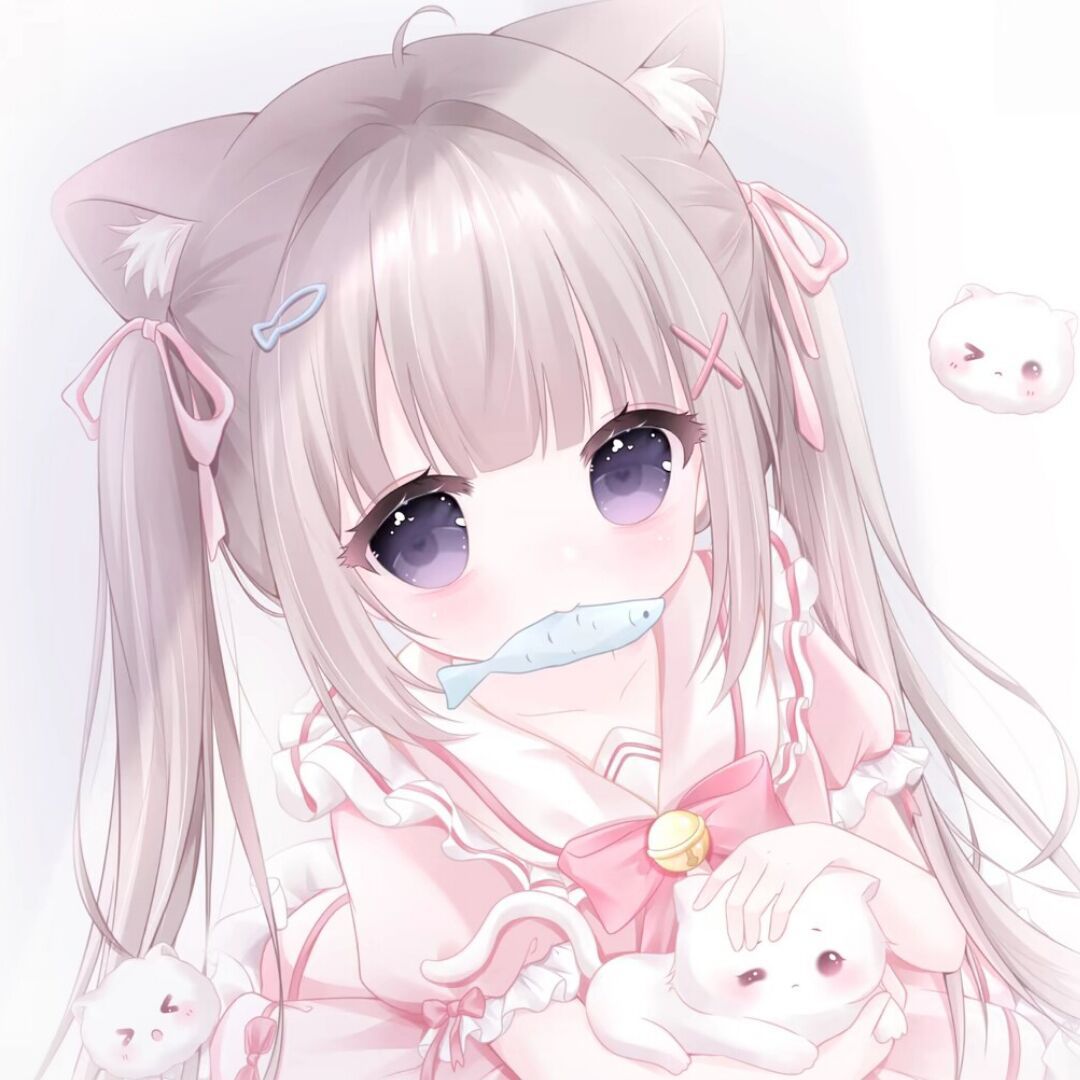 qq_龙星美33