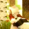 qq2386078969-【TITAIKE】T太科网