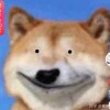 今晚就安静-【TITAIKE】T太科网