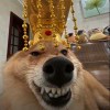 亿...