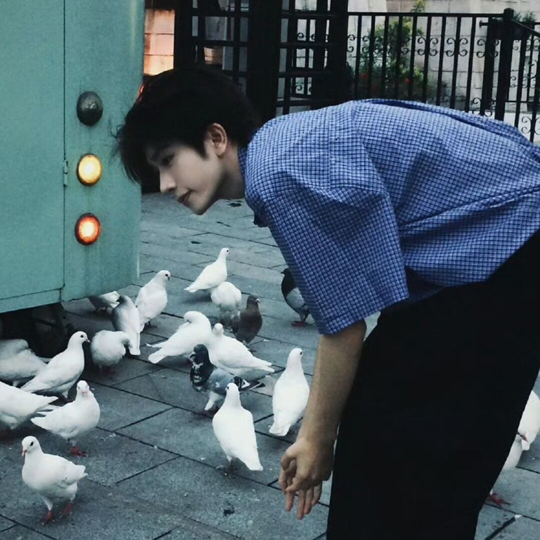用户头像