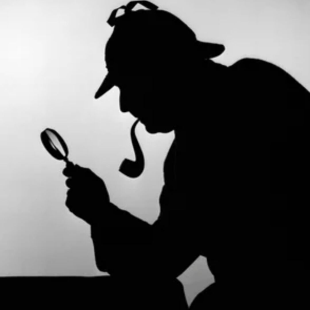 qq_Detective of capital33