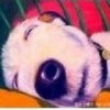 卷云舒(Gary)
