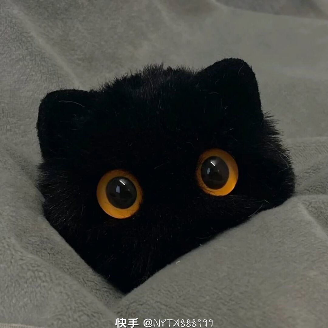 qq_y.42