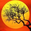 贾银红-【TITAIKE】T太科网