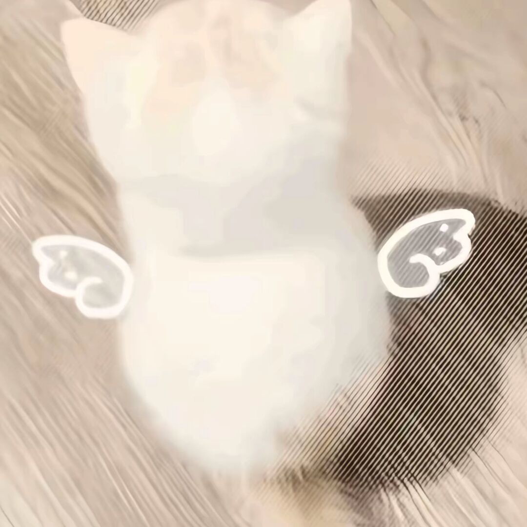 用户头像