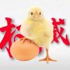 mmsmsmsmsmms-【TITAIKE】T太科网