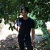 生如夏花
