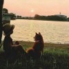 East东狮-【TITAIKE】T太科网