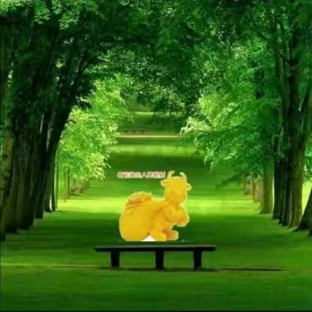 qq_一只大懒猫52