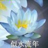 youmengdd-【TITAIKE】T太科网
