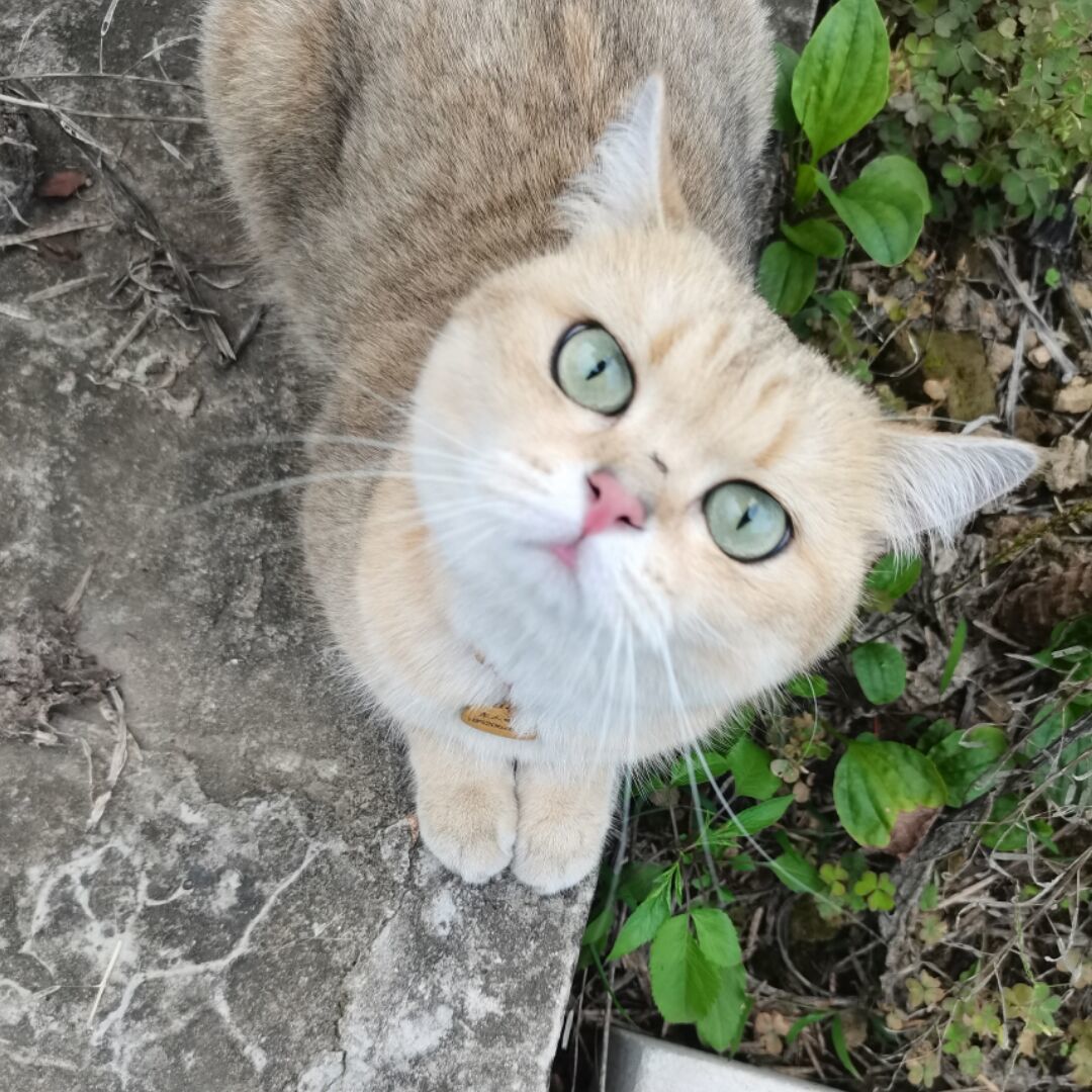 qq_桑89