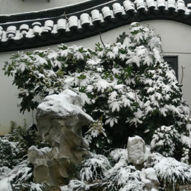 qq_記得約定61